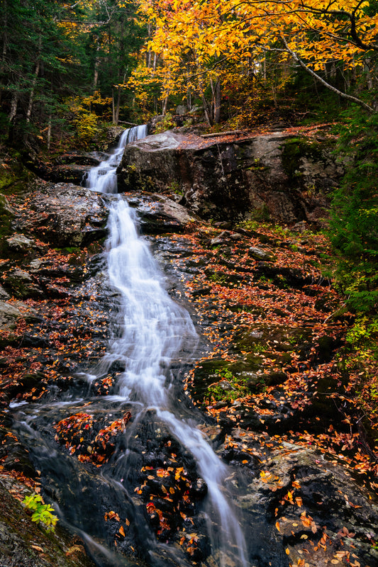 Autumn Cascade