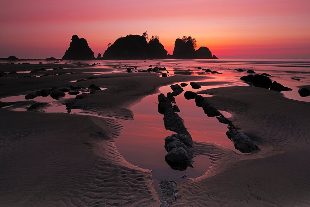 Red Dawn Rising