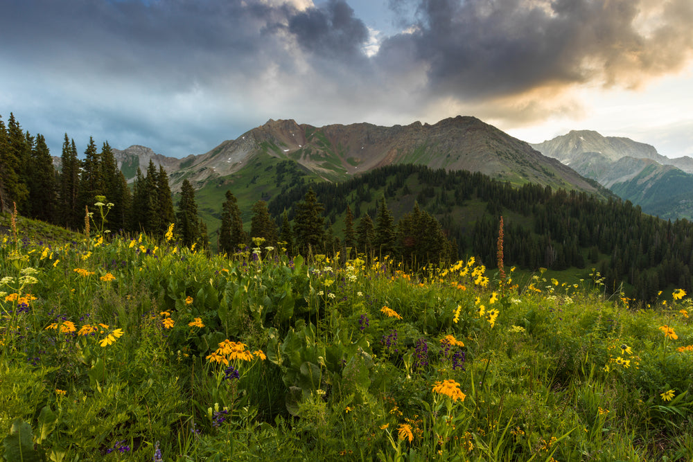 Alpine Colorado