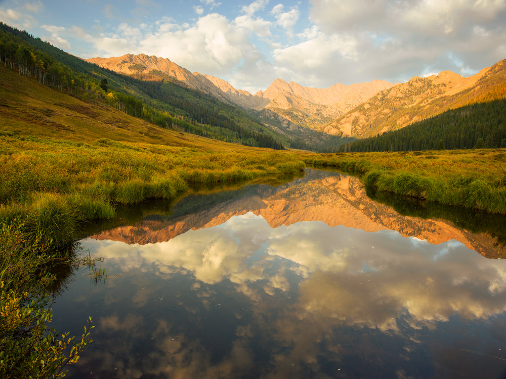 Still Waters