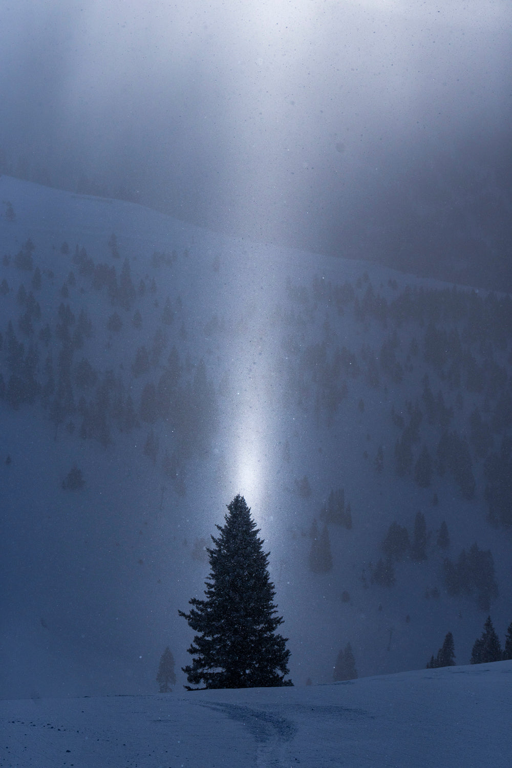 Divine Intervention