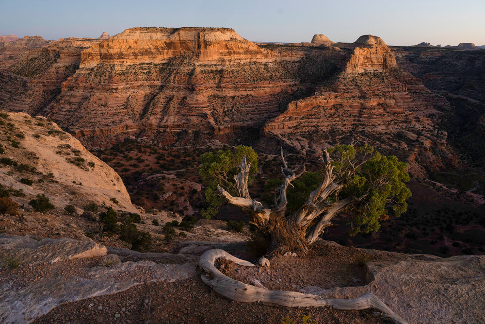 Canyon Country