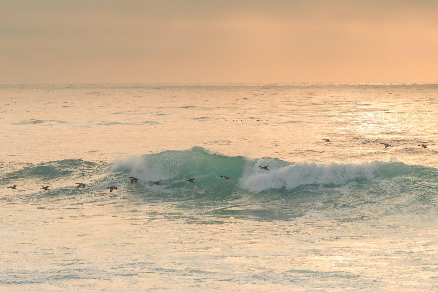 Pacific Pastel