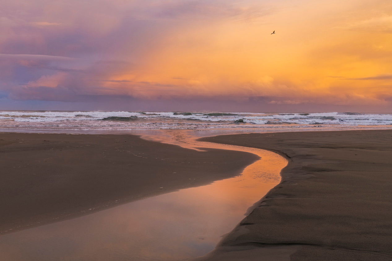 Gilded Waters