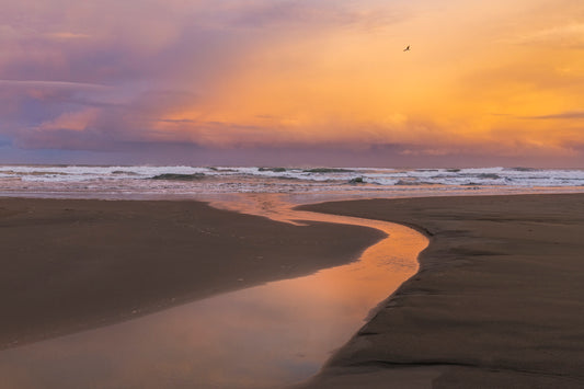 Gilded Waters
