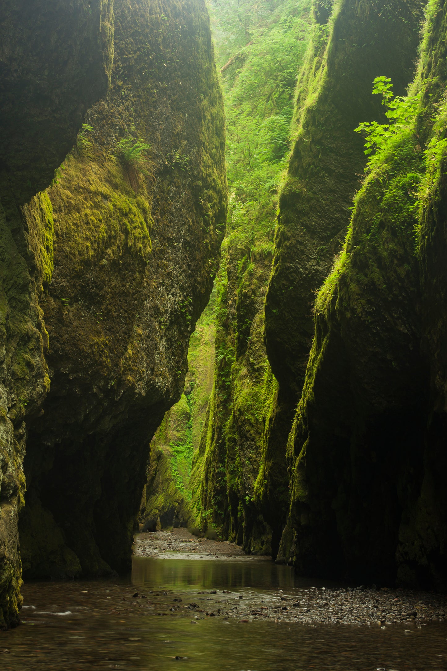 Emerald Gateway