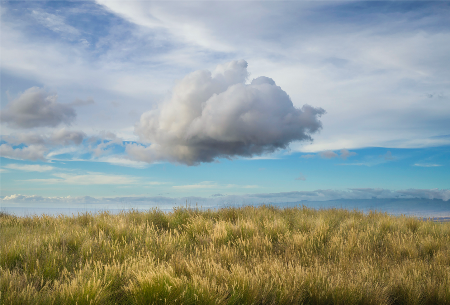 iCloud