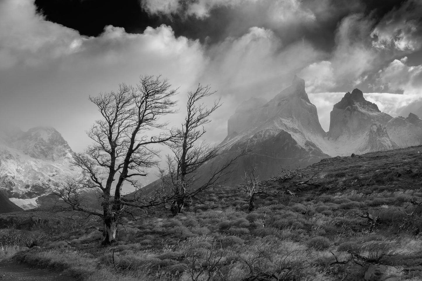 Torres del Paines mountains in Chile overlooking burnt trees