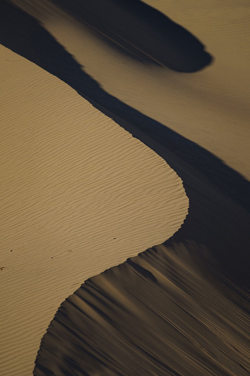 Dark Side of the Dune