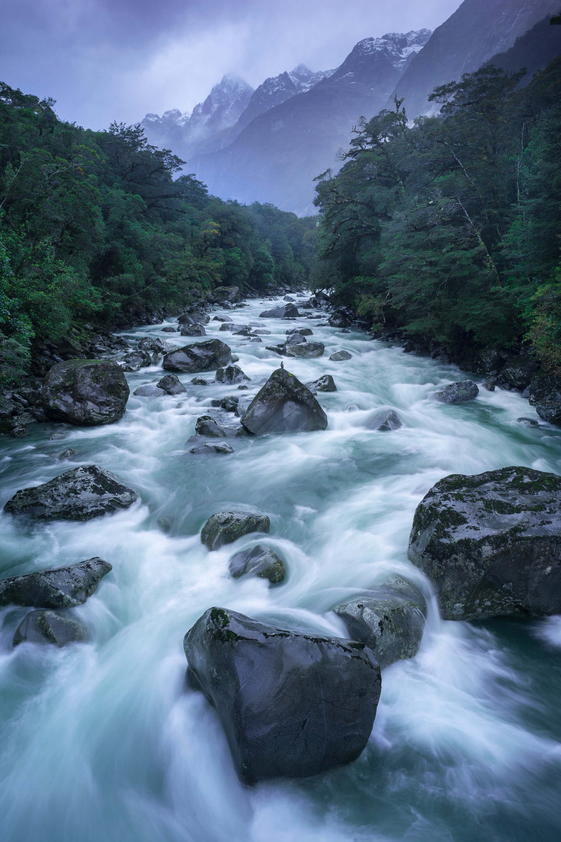 Rainy river in the high country of New Zealand with a bird perched on one of the river's rocks
