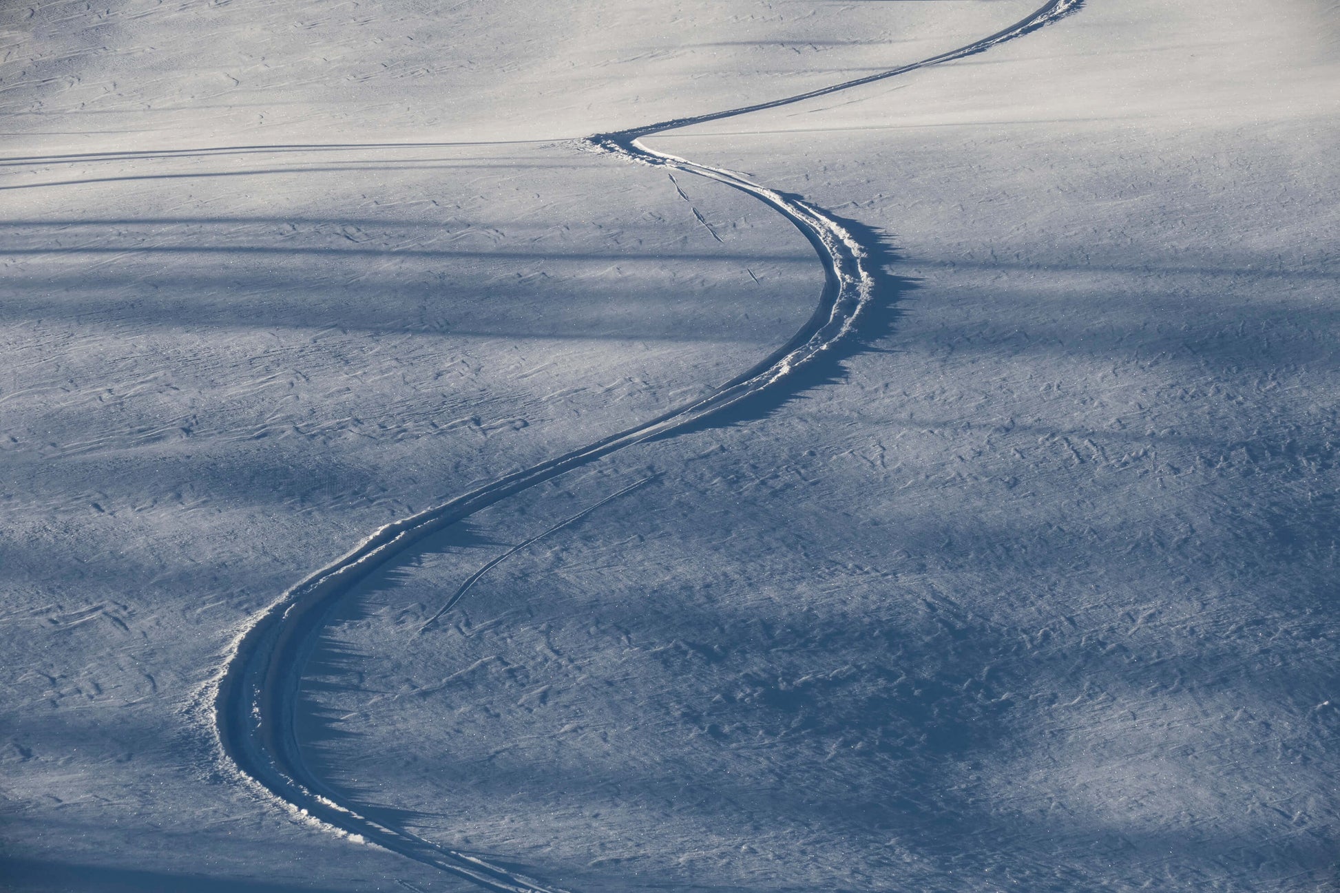 Ski tracks in fresh powder in Colorado