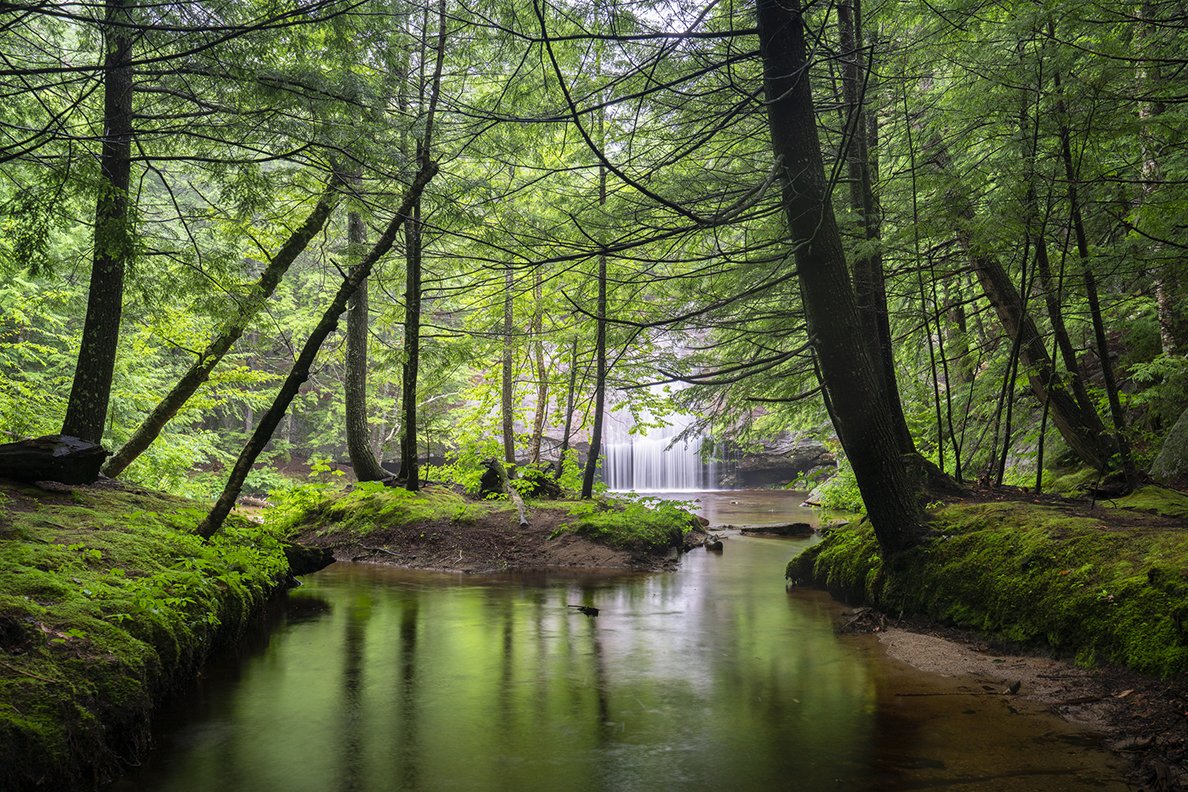 Gates of Lothlorien