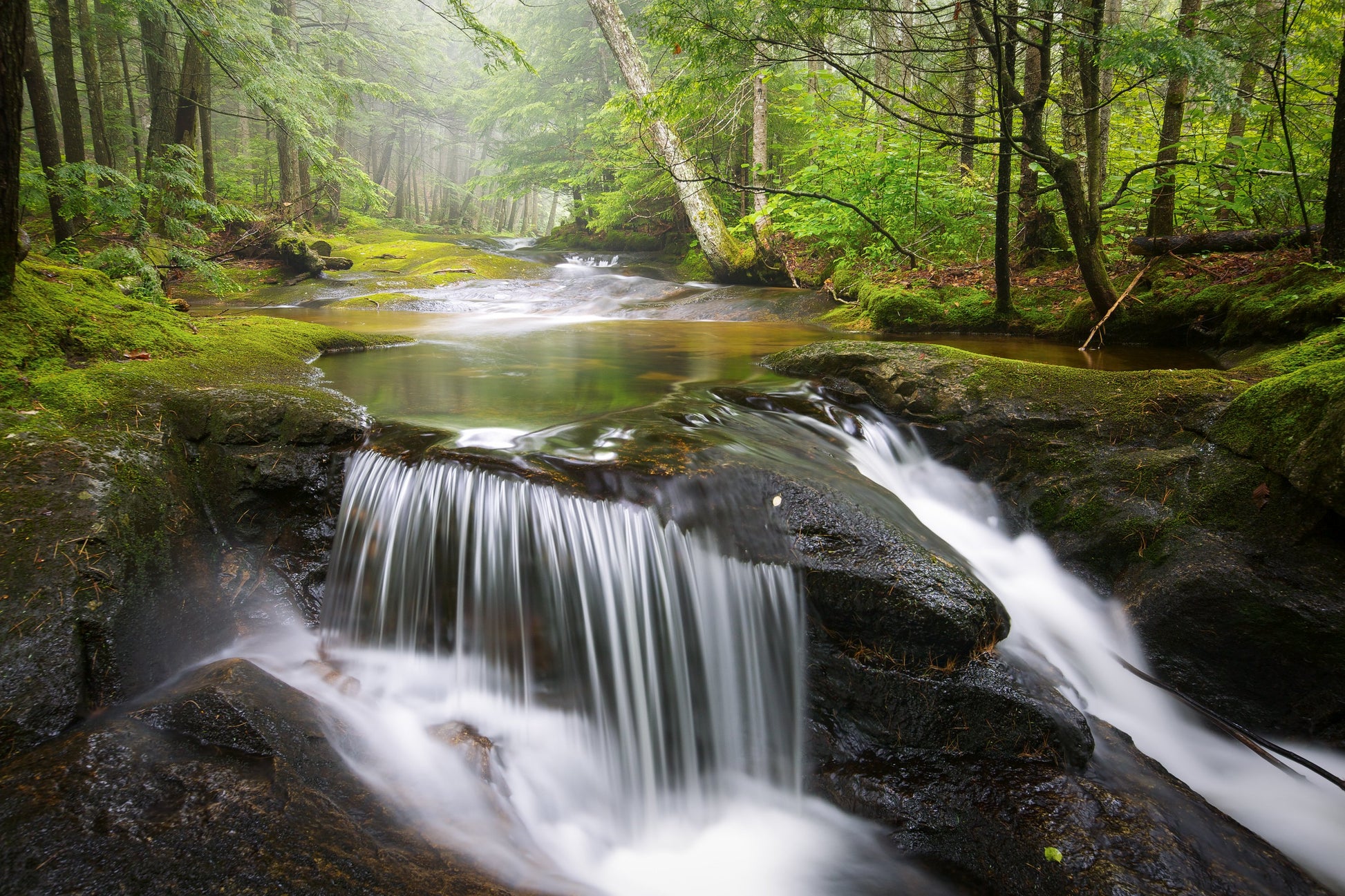 Waterfall from a river running through the woods of New Hampshire