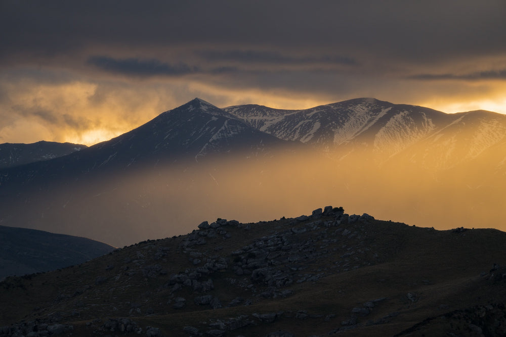 Morning Glow