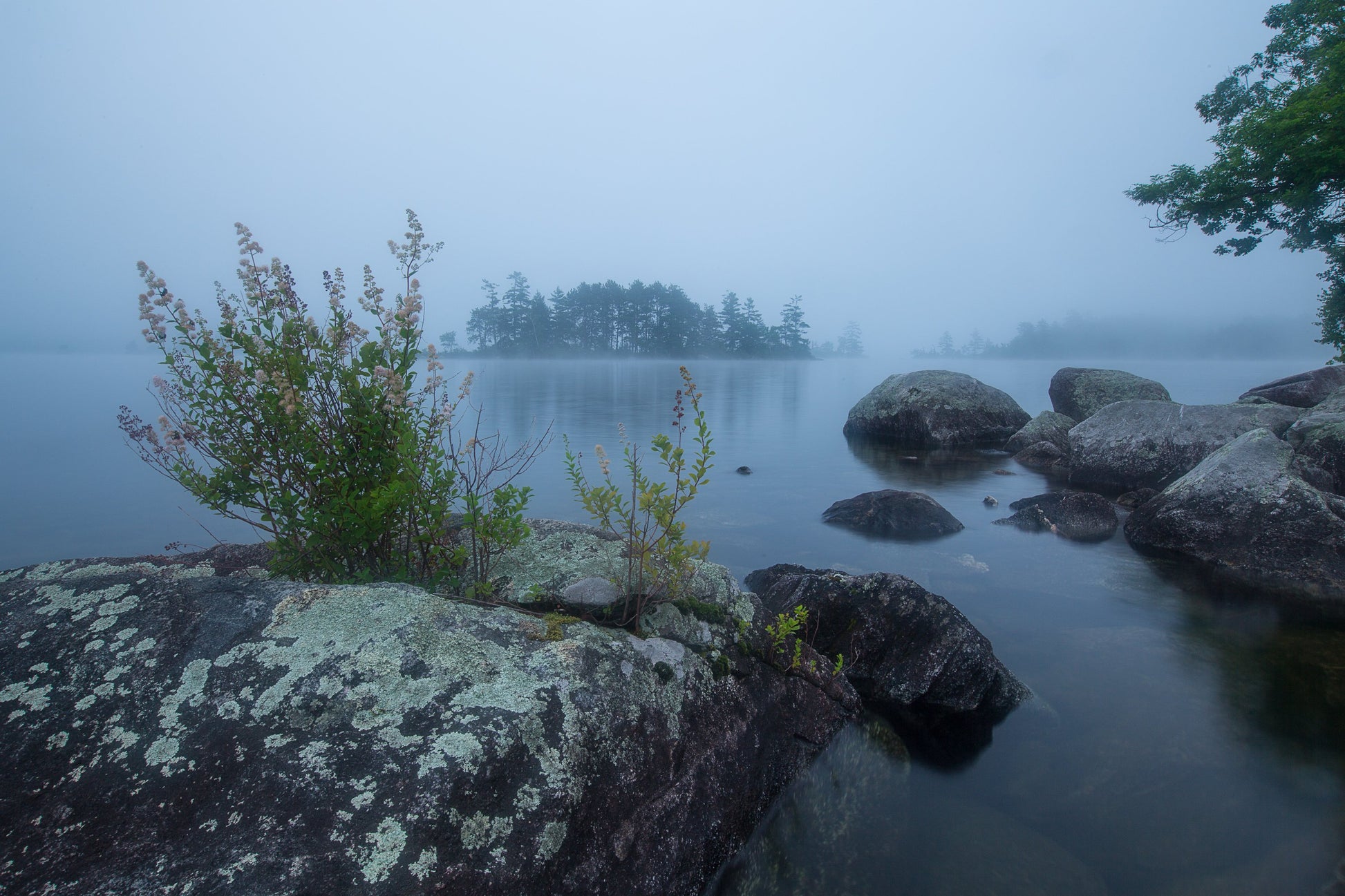 morning mist over calm waters on Squam Lake