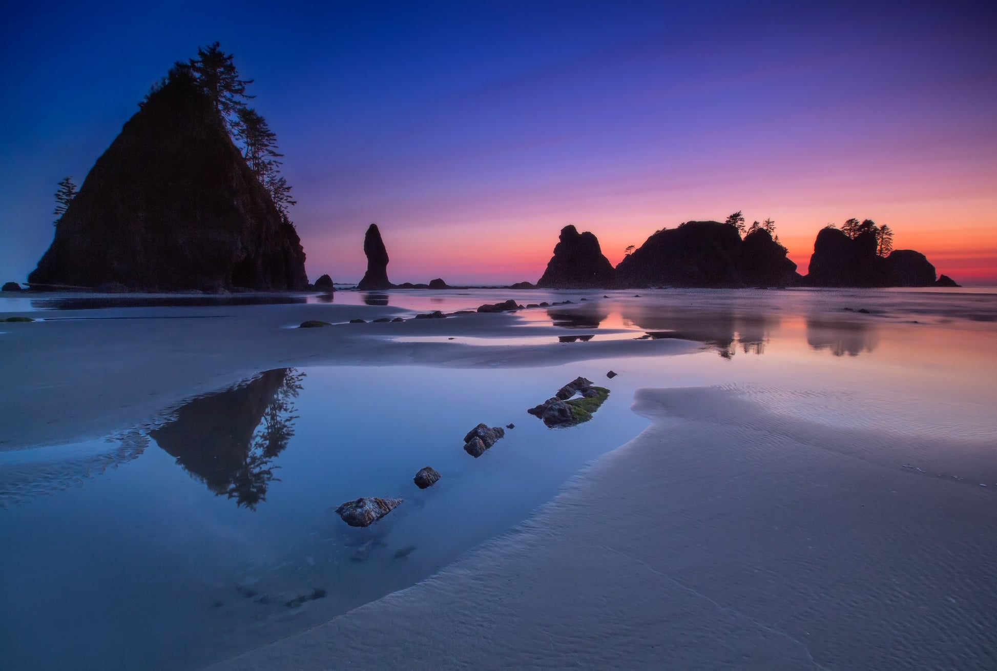 low tide at dusk on the rugged Wilderness Coast of Shi Shi Beach in Washington's Olympic National Park